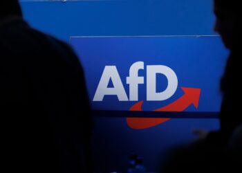Політики німецької AfD зустрілись з неонацистами у Швейцарії – обговорювали депортацію іммігрантів