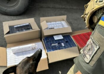 В порту Великої Одеси виявили контрафактні сигарети – понад 2 млн. пачок. Чиї і куди везли (ФОТО, ВІДЕО)