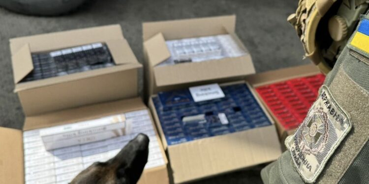 В порту Великої Одеси виявили контрафактні сигарети – понад 2 млн. пачок. Чиї і куди везли (ФОТО, ВІДЕО)