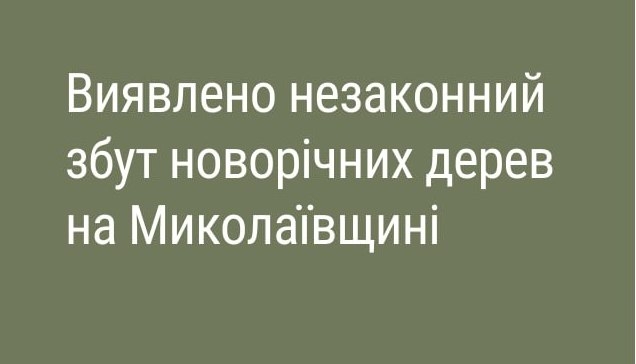 Де спиляв, невідомо, – у Веселинове новорічні сосни продавались без обов’язкових бірок