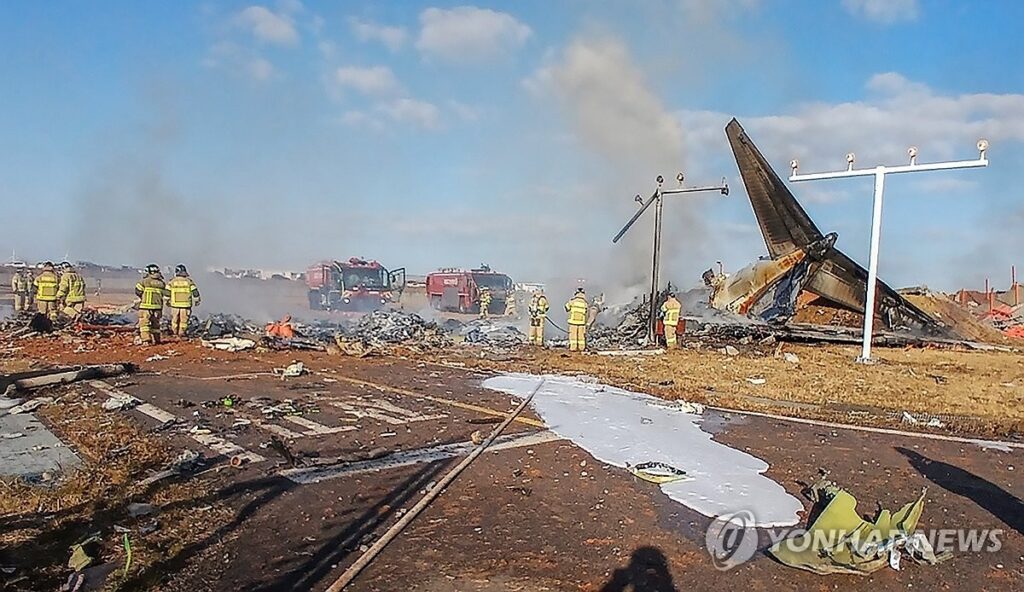 У Південній Кореї під час посадки розбився літак - на борту була 181 людина (ФОТО, ВІДЕО) 4