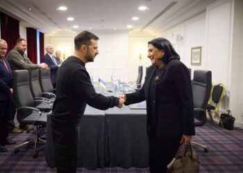 Зеленський в Парижі зустрівся з президенткою Грузії (ВІДЕО)