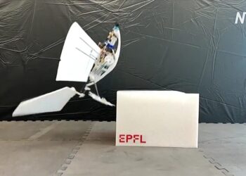 У Швейцарії створили робота-птаха, який зможе стати в нагоді при пошуково-рятувальних операціях (ВІДЕО)