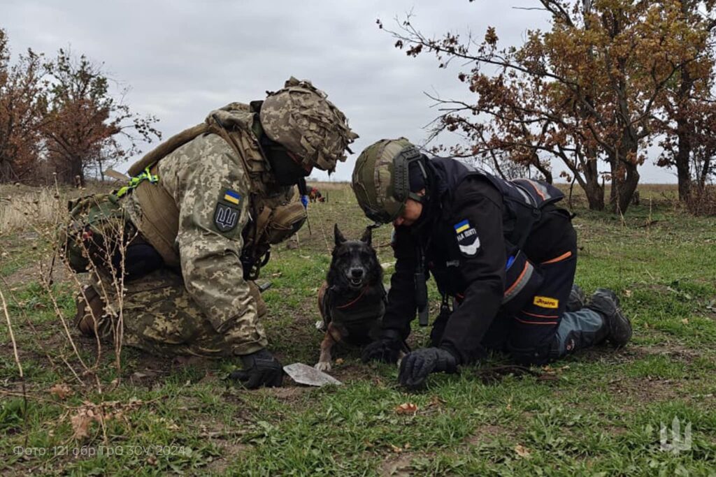 «На щиті». На півдні України завершилась чергова  експедиція з розшуку тіл загиблих Героїв (ФОТО) 6