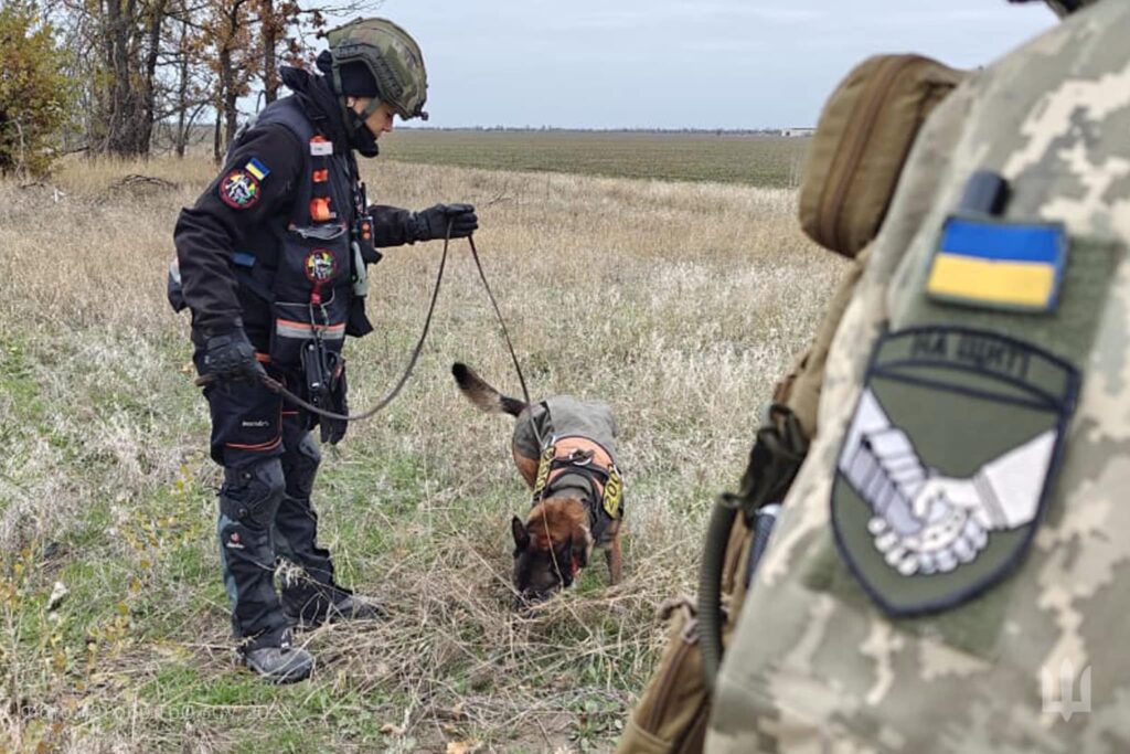 «На щиті». На півдні України завершилась чергова  експедиція з розшуку тіл загиблих Героїв (ФОТО) 10