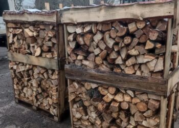 На Миколаївщині розпочали видачу дров мешканцям деокупованих громад (ФОТО)