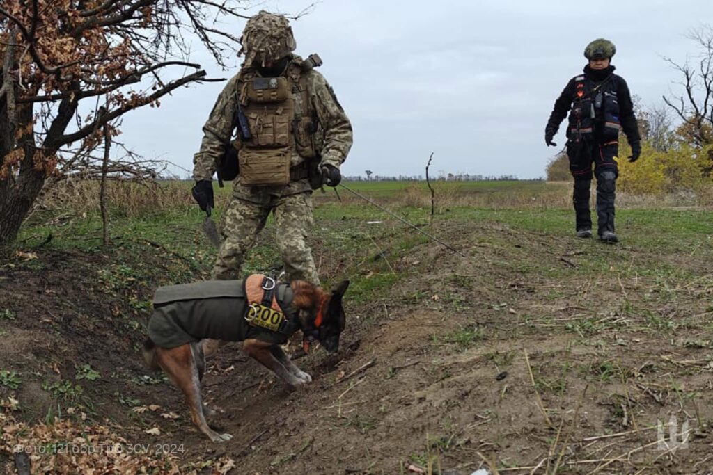 «На щиті». На півдні України завершилась чергова  експедиція з розшуку тіл загиблих Героїв (ФОТО) 12