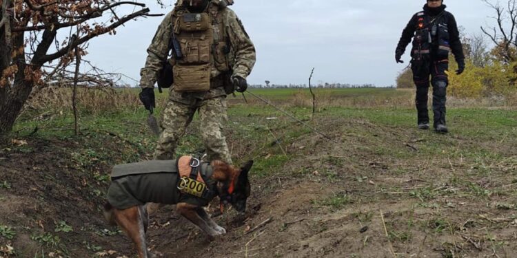 «На щиті». На півдні України завершилась чергова  експедиція з розшуку тіл загиблих Героїв (ФОТО)