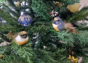 Потішити Зелену Змію. Як прикрасити ялинку на Новий 2025 рік