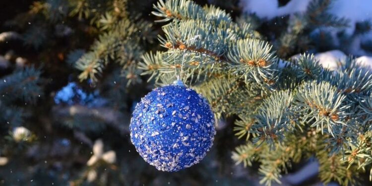 Новий рік: теплий прогноз погоди для України