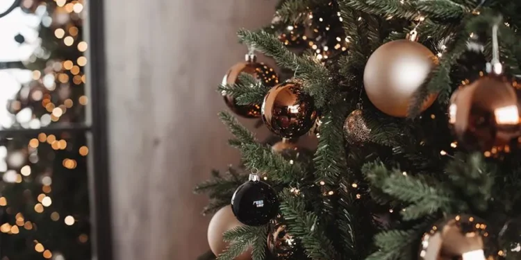 Ще не поставили ялинку? Є кілька годин, щоб прикрасити її ідеально (ФОТО)