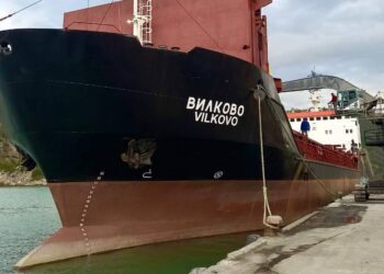 Українське дунайське пароплавство виставило на продаж 6 суден – ніхто не купив. Воно й не дивно
