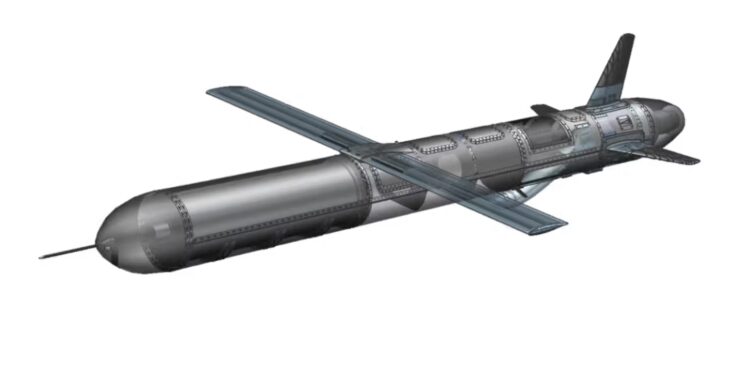 Нова українська ракета “Рута” – її називають майже ідеальною. Що відомо? (ФОТО, ВІДЕО)