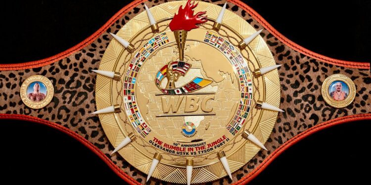 Історична подія – історична нагорода. Який сюрприз отримає переможець бою-реваншу Усика – Ф’юрі (ФОТО, ВІДЕО)