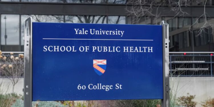 РФ використовувала президентські літаки для примусової депортації українських дітей