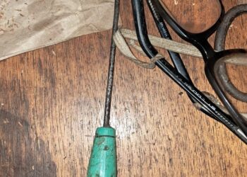 На Миколаївщині донька вбила батька викруткою