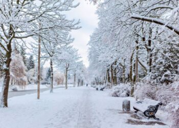 Прогноз погоди на вихідні 14–15 грудня: морози не затримаються
