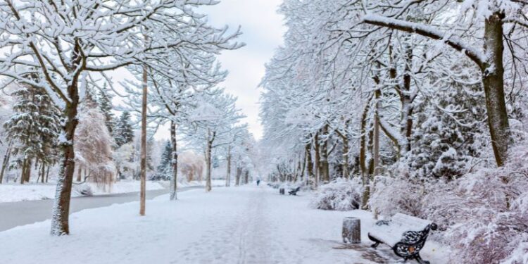 Прогноз погоди на вихідні 14–15 грудня: морози не затримаються