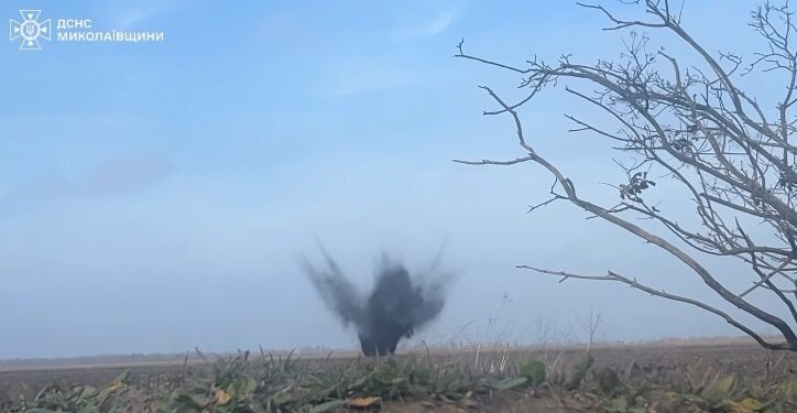 На Миколаївщині знешкодили мінометну міну