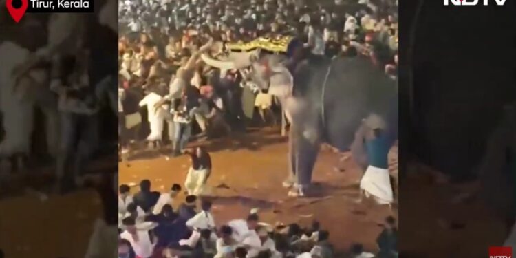 На індійському фестивалі слон вийшов з-під контролю і кинувся на людей – 17 поранених (ВІДЕО)