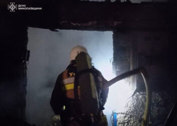 Знов господарча споруда. Що горіло на Миколаївщині зранку