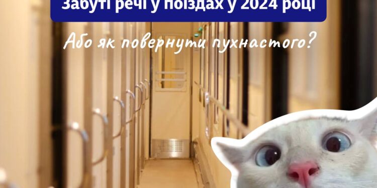 Кіт і коробка з живими метеликами, $6 тис. і лук для стрільби… Що забували пасажири у поїздах 2024 року