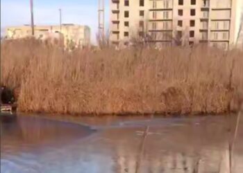 Виток олії у Миколаєві через дронову атаку – з річки відкачали 119 тонн (ВІДЕО)