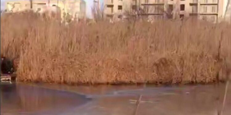 Виток олії у Миколаєві через дронову атаку – з річки відкачали 119 тонн (ВІДЕО)