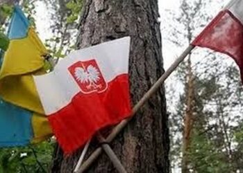 Волинська трагедія: Україна та Польща обмінялися списками місць для пошуку та ексгумації останків жертв 