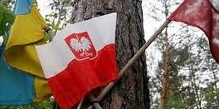 Волинська трагедія: Україна та Польща обмінялися списками місць для пошуку та ексгумації останків жертв 