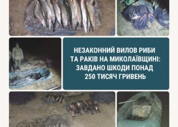 На Миколаївщині браконьєр незаконним виловом риби та раків завдав шкоди на 250 тис.грн.