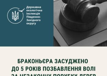 На Миколаївщині чоловіка засуджено до 5 років позбавлення волі за незаконну порубку дерев