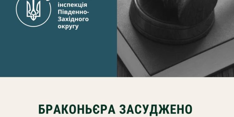 На Миколаївщині чоловіка засуджено до 5 років позбавлення волі за незаконну порубку дерев