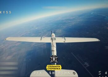 Сили оборони Півдня збили два розвіддрони Zala і один «Орлан» (ВІДЕО)