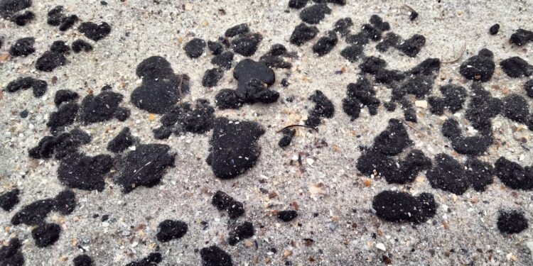 Мазут із затонулих російських танкерів дістався берегів Одещини (ФОТО, ВІДЕО)