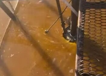 Мер Миколаєва показав, як з Південного Бугу відкачують олію із пошкодженого резервуару, – вже відкачали 42 тони (ВІДЕО)