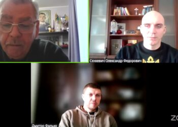 Обрізка платанів на Соборній зупинена до прийняття Правил поводження з зеленими насадженнями у місті Миколаєві – сесія міськради