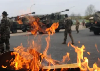 Скандал з “французькою” бригадою в Україні – чому 155-та “Анна Київська” виявилася небоєздатною (ФОТО)