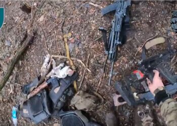 Очаківські морські котики на Курщині знищують солдатів КНДР і збирають генетичний матеріал для слідства (ВІДЕО)