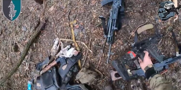 Очаківські морські котики на Курщині знищують солдатів КНДР і збирають генетичний матеріал для слідства (ВІДЕО)