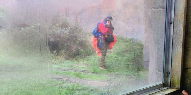 У Нідерландах парашутист помилково приземлився у зоопарку. Кажуть – йому повезло