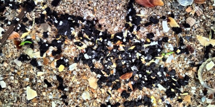 Працівники НПП «Тузлівські лимани» на Одещині зібрали дрібні фракції мазуту, винесених морем на берег (ФОТО)