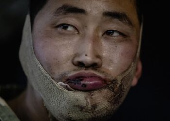 ЗСУ на Курщині взяли в полон військових КНДР, – Зеленський (ФОТО)