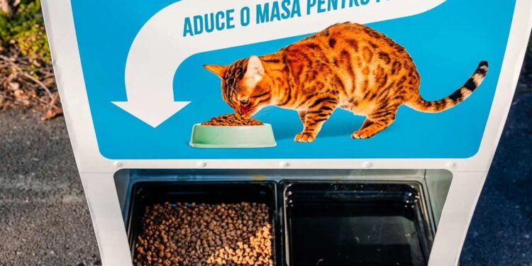 Нам би таке не завадило. В Бухаресті тепер можна безкоштовно нагодувати бездомних кішок, розплатившись пластиковою пляшкою (ФОТО)