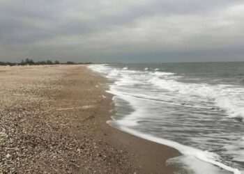 На Одещині виявлено нові ділянки берега, засмічені мазутом із затонулих російських танкерів (ФОТО)
