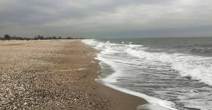 На Одещині виявлено нові ділянки берега, засмічені мазутом із затонулих російських танкерів (ФОТО)