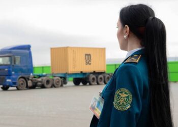 На Миколаївщині відкрився новий митний термінал