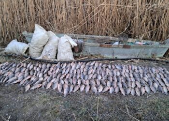 І ще один браконьєр впійманий на Миколаївщині – шкода від його дій сягнула 425 тис.грн. (ФОТО)