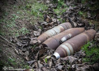 Рятувальники Миколаївщини знешкодили 4 боєприпаси, знайдені в деокупованій громаді (ФОТО)