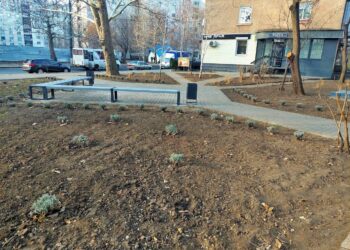 Студенти Миколаївського будівельного коледжу допомогли оновити сквер на Колодязній (ФОТО)